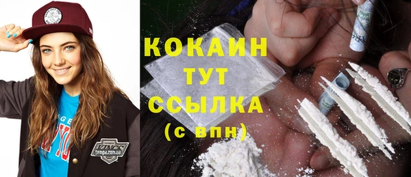 крисы Михайловск