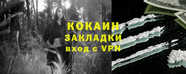 крисы Михайловск