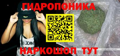 меф Дубна