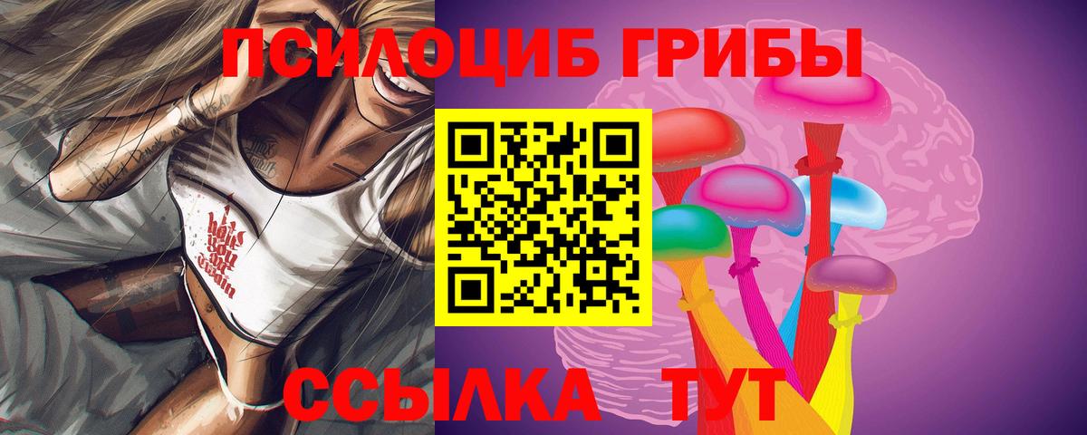 Новодвинск  Псилоцибиновые грибы MAGIC MUSHROOMS  Вход с VPN 